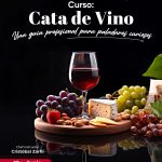 Cata de Vino: Una guía profesional para paladares curiosos.
