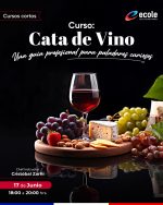Cata de Vino: Una guía profesional para paladares curiosos.